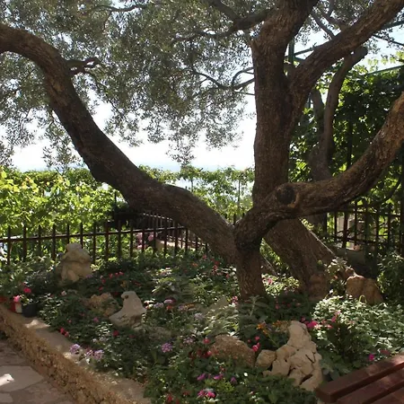 Appartamento With Parking Space - 6792