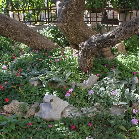 Appartement With Parking Space - 6792 *