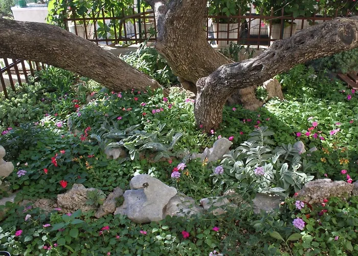 Apartman With Parking Space - 6792 *